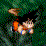 DBZ Showdown