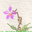 Textflower 'advert'