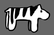 James The African Zebra