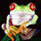 Search for Treefrogs
