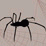 Spider Game
