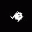spore