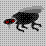 Rise of the ants