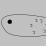 A Fish's Journey