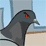 Pigeon's Revenge