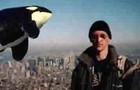 Waldo - I Get Around
