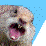 Squirrely Wrath