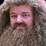 Hagrid's Revenge