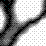 H?ppy Cl?ck D?y!!!!!!!!!!