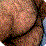 &Aring;01010101010101