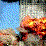 Clock Day-9/11
