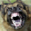 For Michael Vick