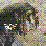 Link And Also Vaati