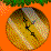 Persimmon's Quest Ep. 6