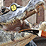 AlligatorClock RETURNS