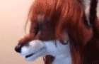 That Gay AntiClock Collab