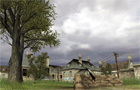 Cod2junkies
