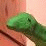 TFB: Lizard Madness II