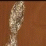 Tinfoil Bob: One Year