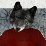 Wolfie Joe