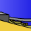 The turtle's demise