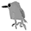 Little Bird