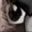 [MK/SF/Sonic][/Paragon/]