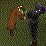 Runescape -Getting Head-