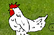 Cock Shooter.