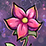 Seed