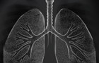 The Air We Breathe