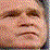 Bush Is God