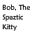 Bob, The Spaztic Kitty
