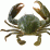 Crab murder