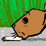 why a squirrel shouldn't