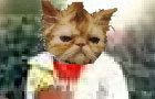 BigFuzzyKitten's JEM!