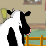 Day In The Life of a Cow