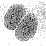 Ribosomes!