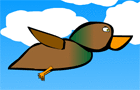 A Duck Life
