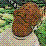 Ackbar : OMFG The Cheat