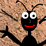 Ant Splat