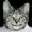 LolCat History (Trailer)