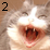 Matman 2: The Reckoning