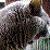 Pengy's Adventures: 0002