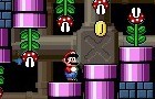 New Super Mario World3