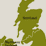 Assault On Scotland