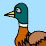 DUCK POND (v1.0)