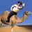 SSBB: Camel Day Aftermath