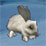 Warcraft: Bunys Truble