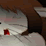 Furry Yiff Animation TC